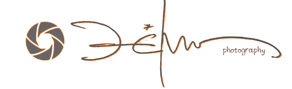 Themis Photo Studio logo